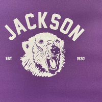 Jackson Stadium Seat Chairback (Pre Order)