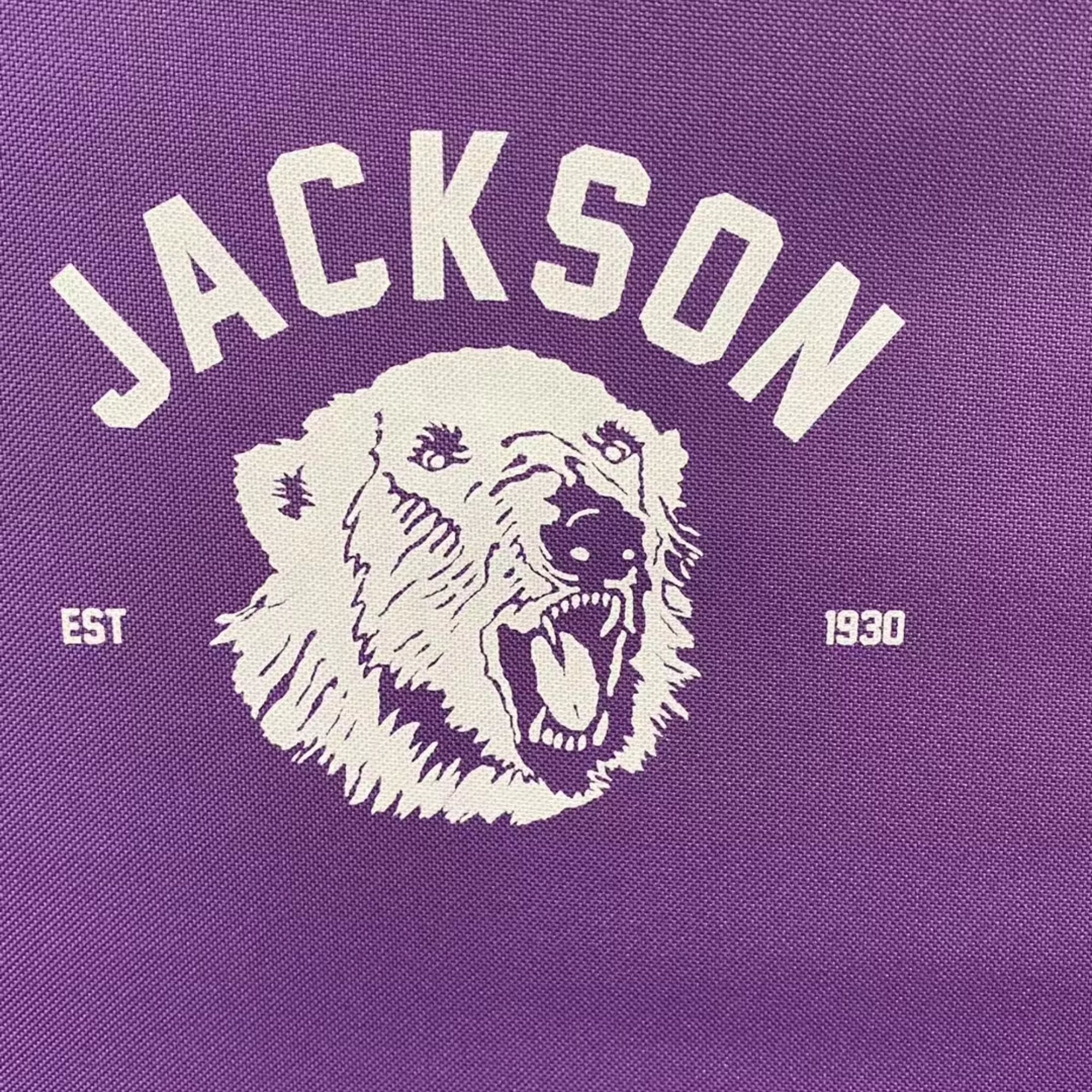 Jackson Stadium Seat Chairback (Pre Order)
